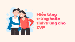 Anh-dai-dien-bai-viet-12-01