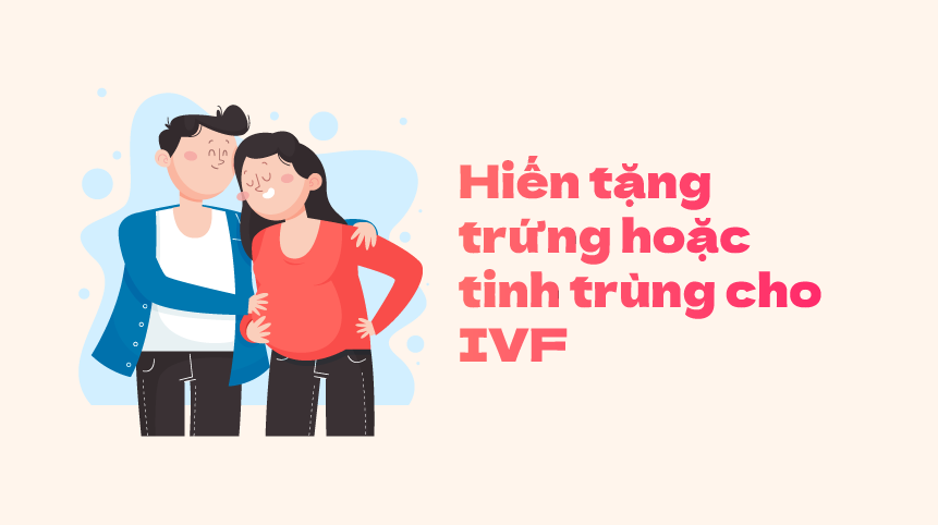 Anh-dai-dien-bai-viet-12-01