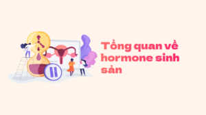 Anh-dai-dien-bai-viet-17-01